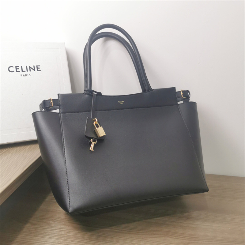 셀린느 부르주아 미디엄 카바스 숄더백 199773 BV